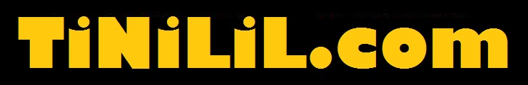 TiNiLiL.com - it is what it is